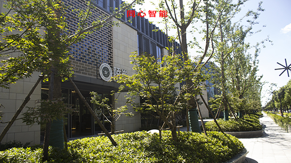 糖心VIGO在线观看虹祺路商業街建設智能化